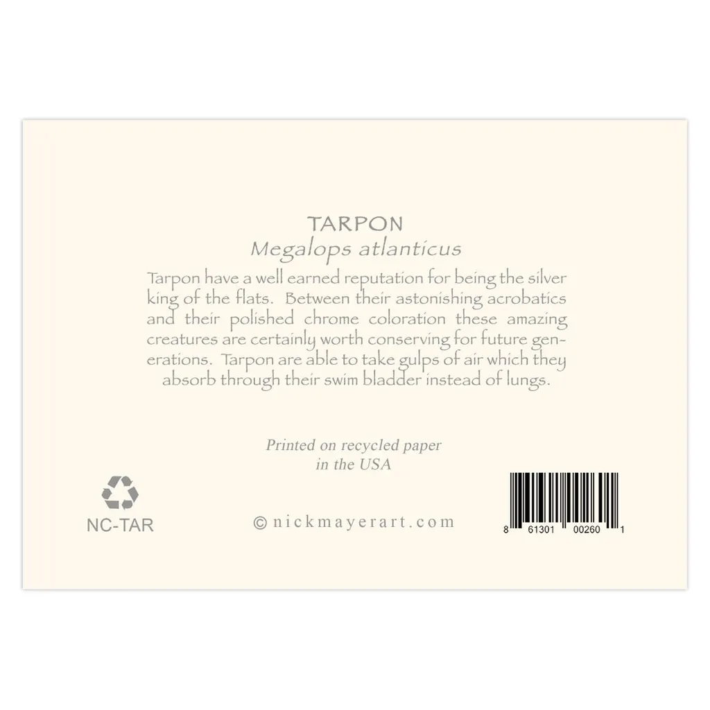 Tarpon Notecards